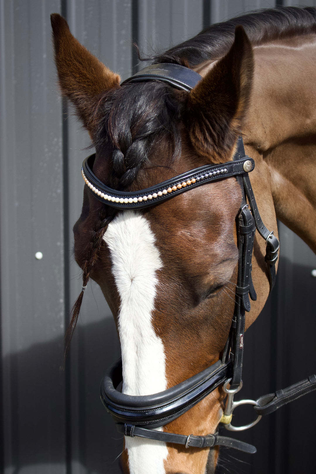 Easy-Click Browband - Pearl Fade