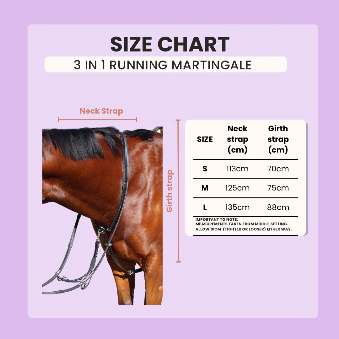 3-in-1 Running Martingale with Clip on Rings