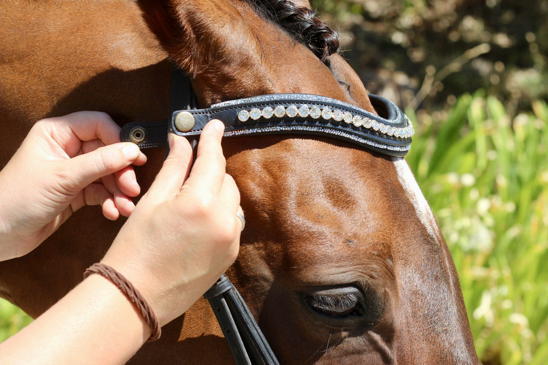 Easy-Click Browband - Glamour