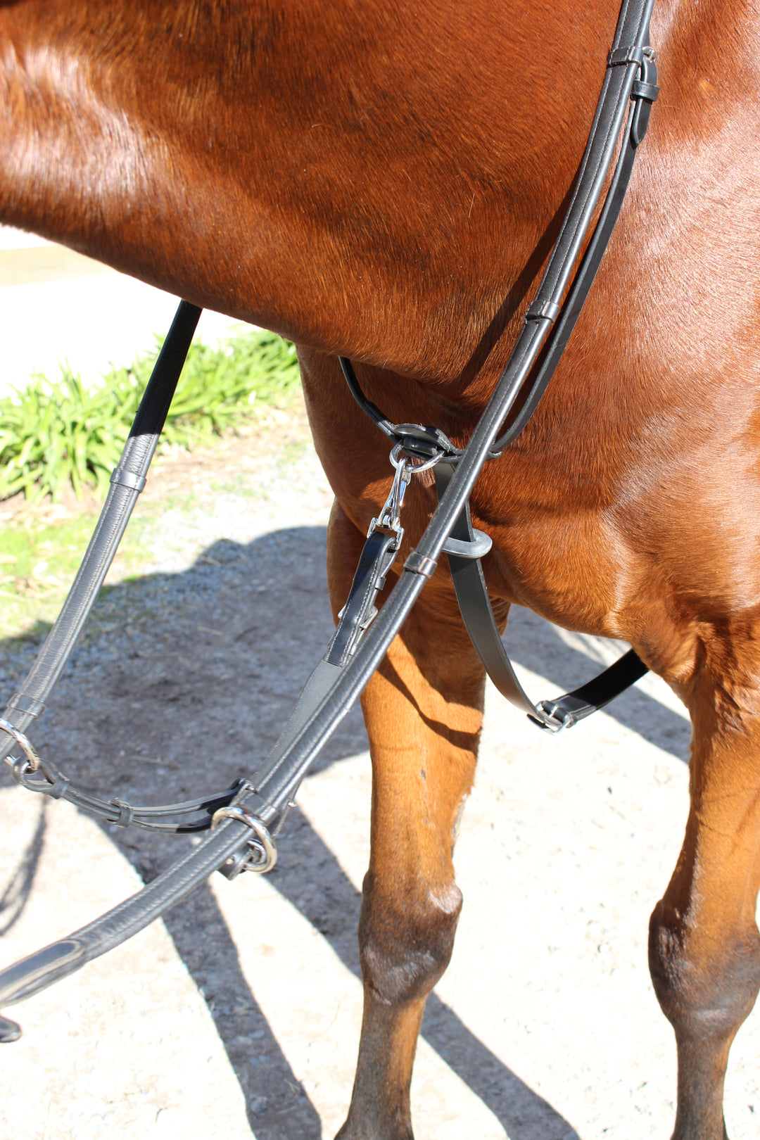 3-in-1 Running Martingale with Clip on Rings