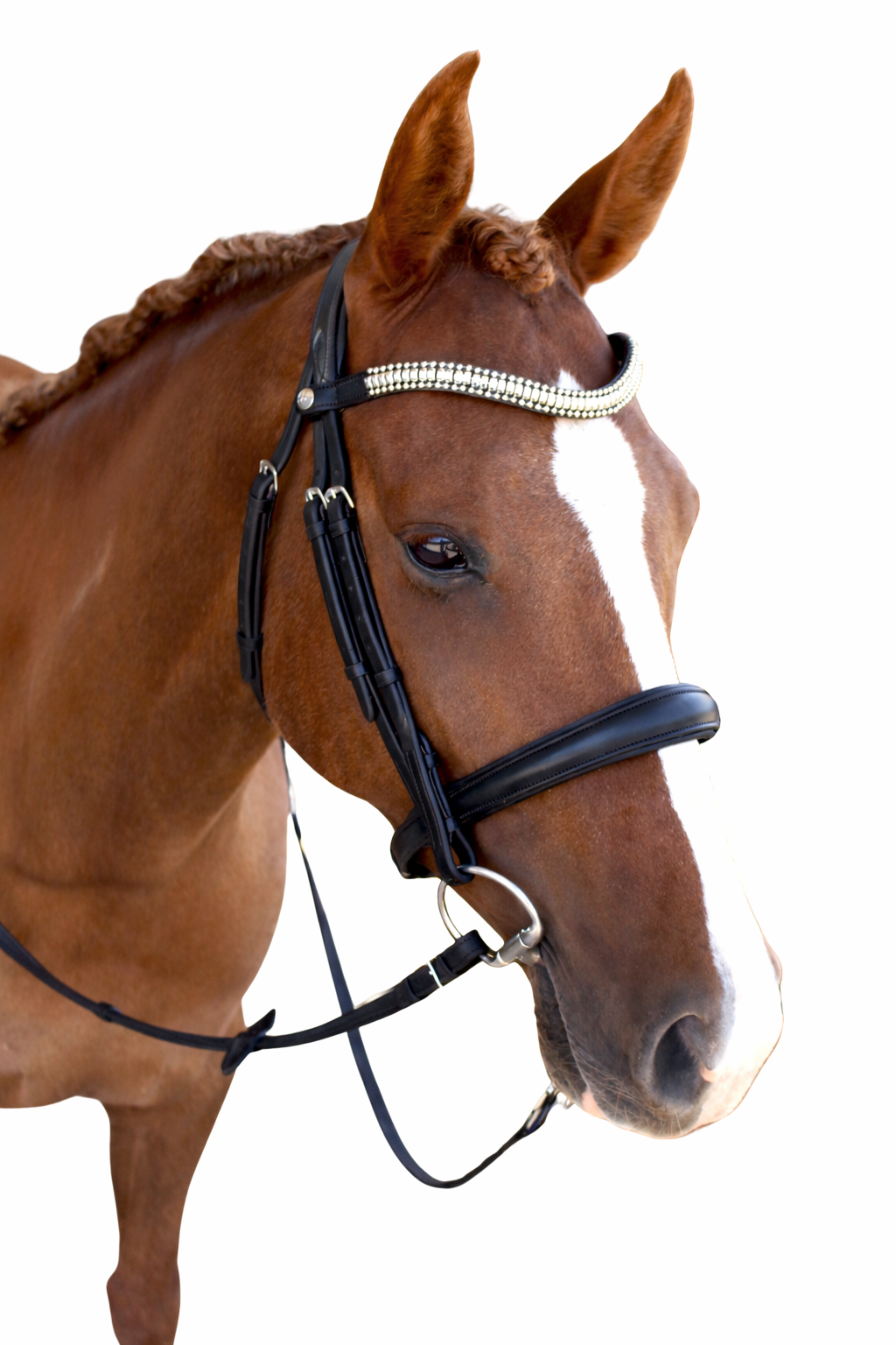 Cosmo Cavesson Bridle with Reins - Black
