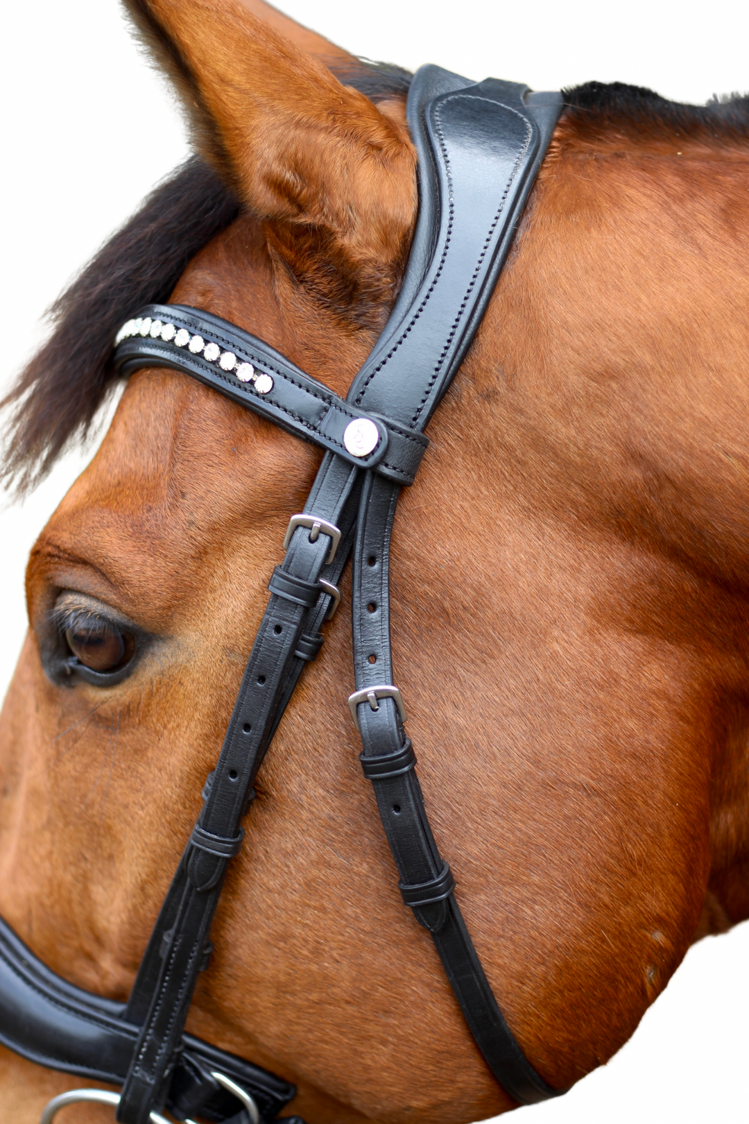 ‘Star’ Hanoverian Bridle With Reins - Black