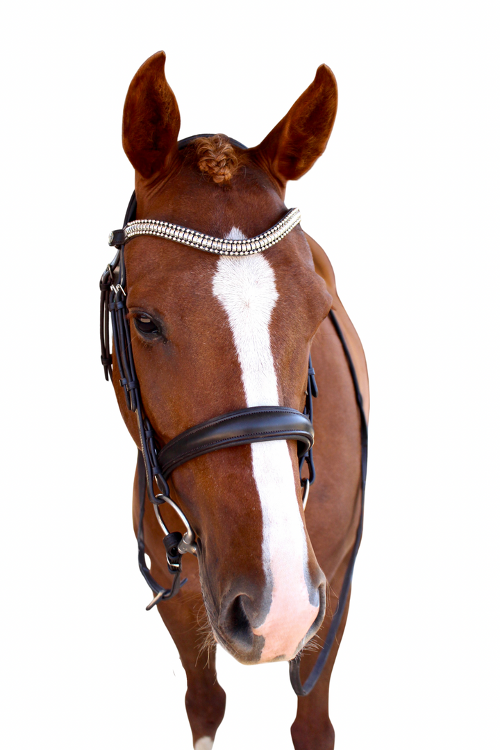 Cosmo Cavesson Bridle with Reins - Havana Brown