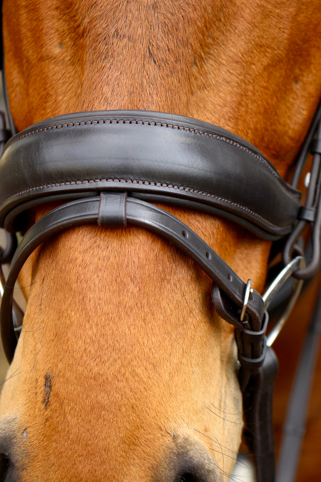 ‘Star’ Hanoverian Bridle With Reins - Havana Brown