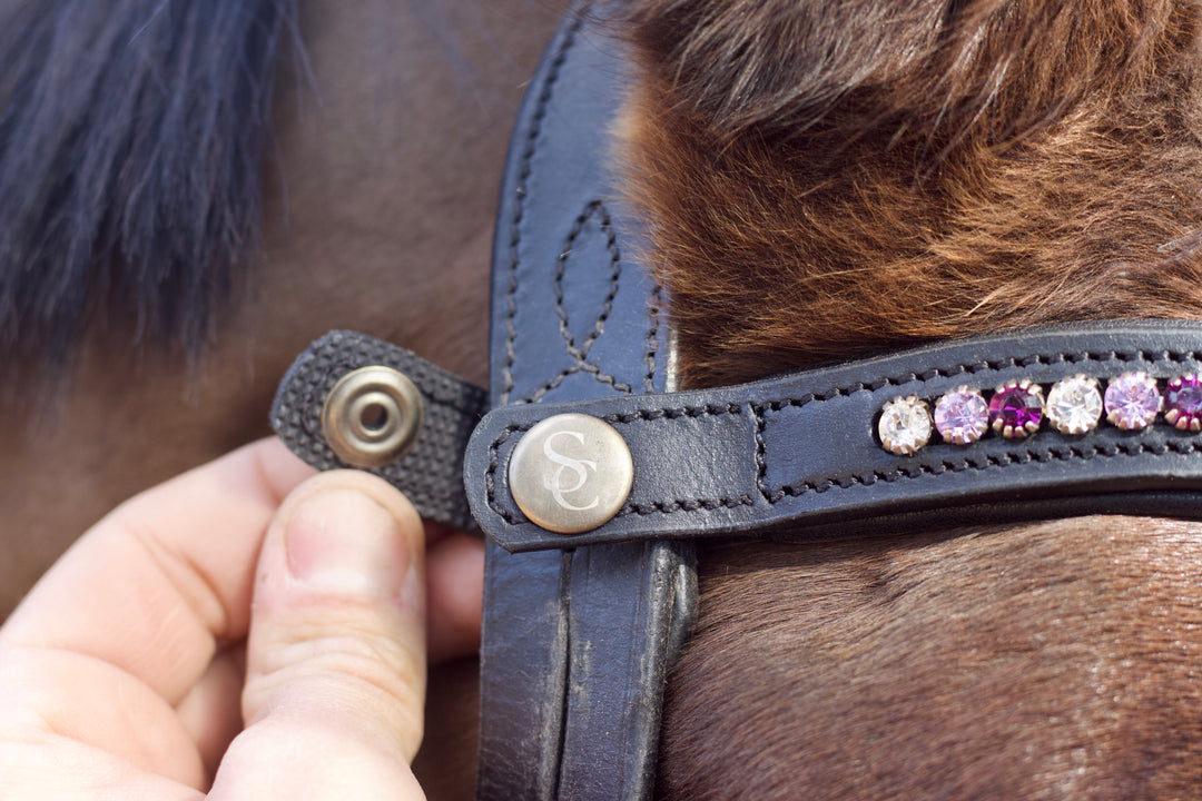 Easy-Click Browband - Purple Rose