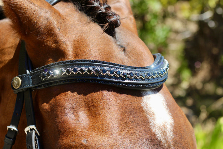 Easy-Click Browband - Eclipse