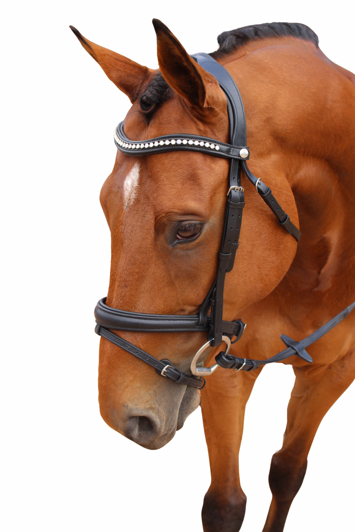 Florence Hanoverian Bridle with Reins - Black
