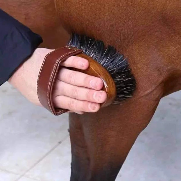 Hairy Pony - Dandy Brush