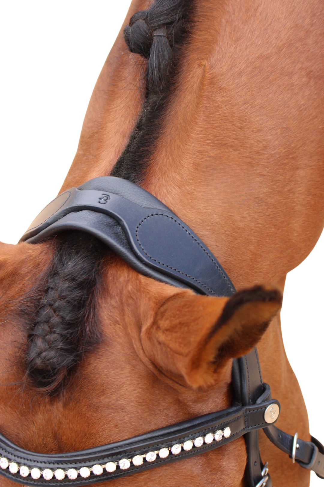 Florence Hanoverian Bridle with Reins - Black