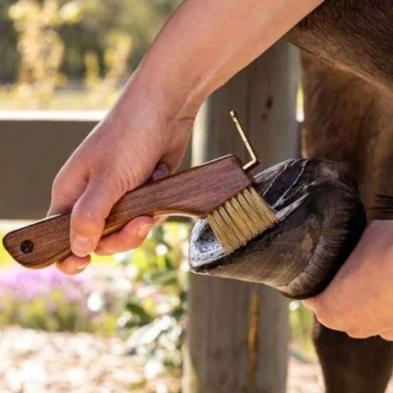 Hairy Pony - Copper Bristle Hoof Pick
